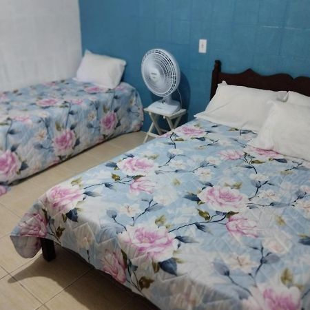 Apartamento Cercado Por Natureza E Diversao Maceio  Ngoại thất bức ảnh
