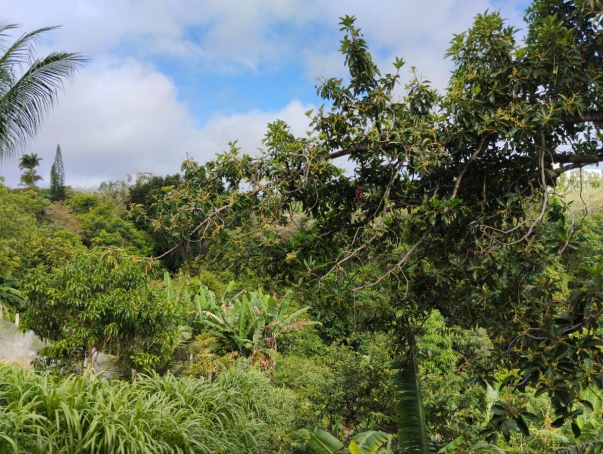 Apartamento Cercado Por Natureza E Diversao Maceio  Ngoại thất bức ảnh