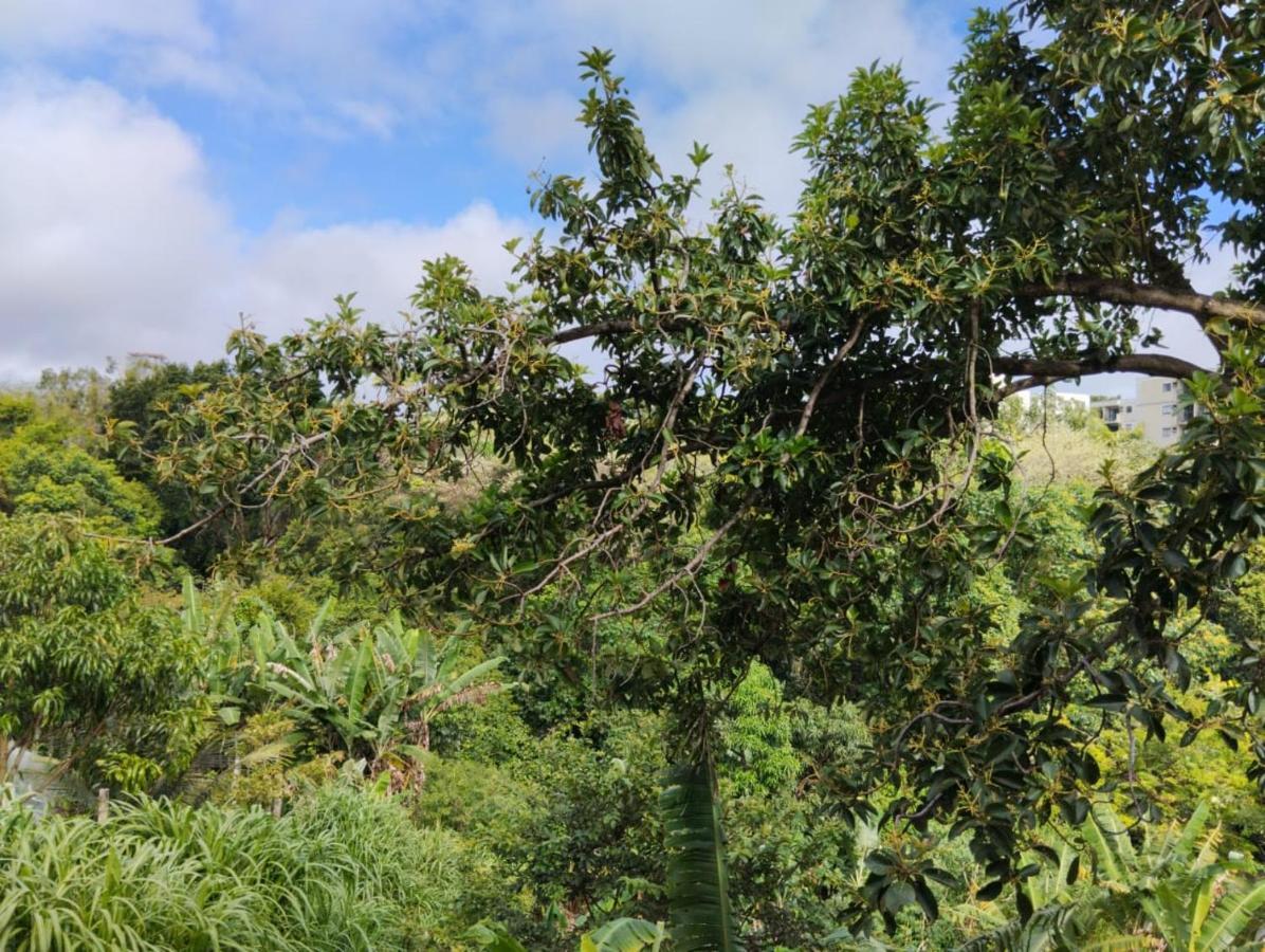 Apartamento Cercado Por Natureza E Diversao Maceio  Ngoại thất bức ảnh